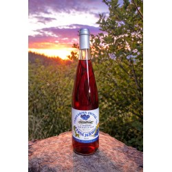 Aronia table wine (dry)