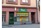 Český Těšín